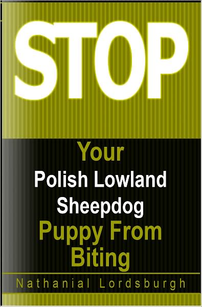 Keep Your Polish Lowland Sheepdog From Biting