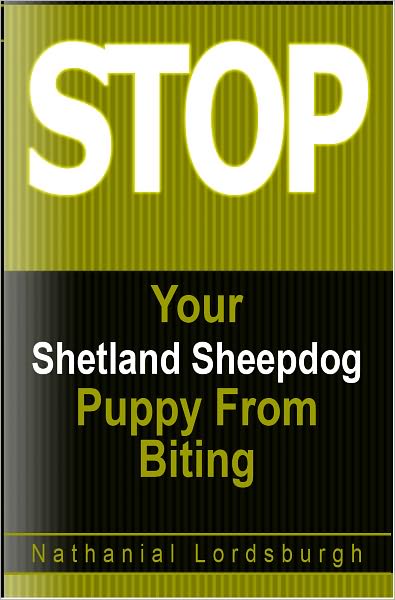 Keep Your Shetland Sheepdog From Biting