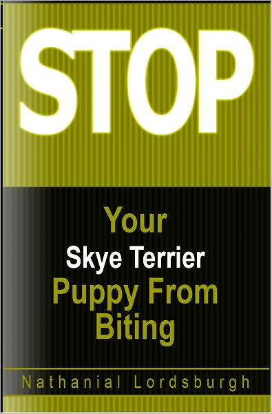 Keep Your Skye Terrier From Biting