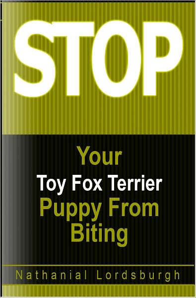Keep Your Toy Fox Terrier From Biting