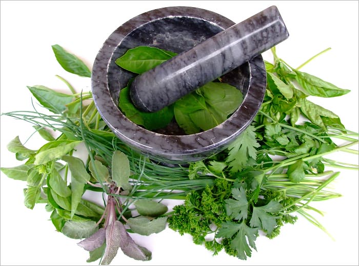 Herbal Recipes: 21 edible plants for a healthy lifestyle