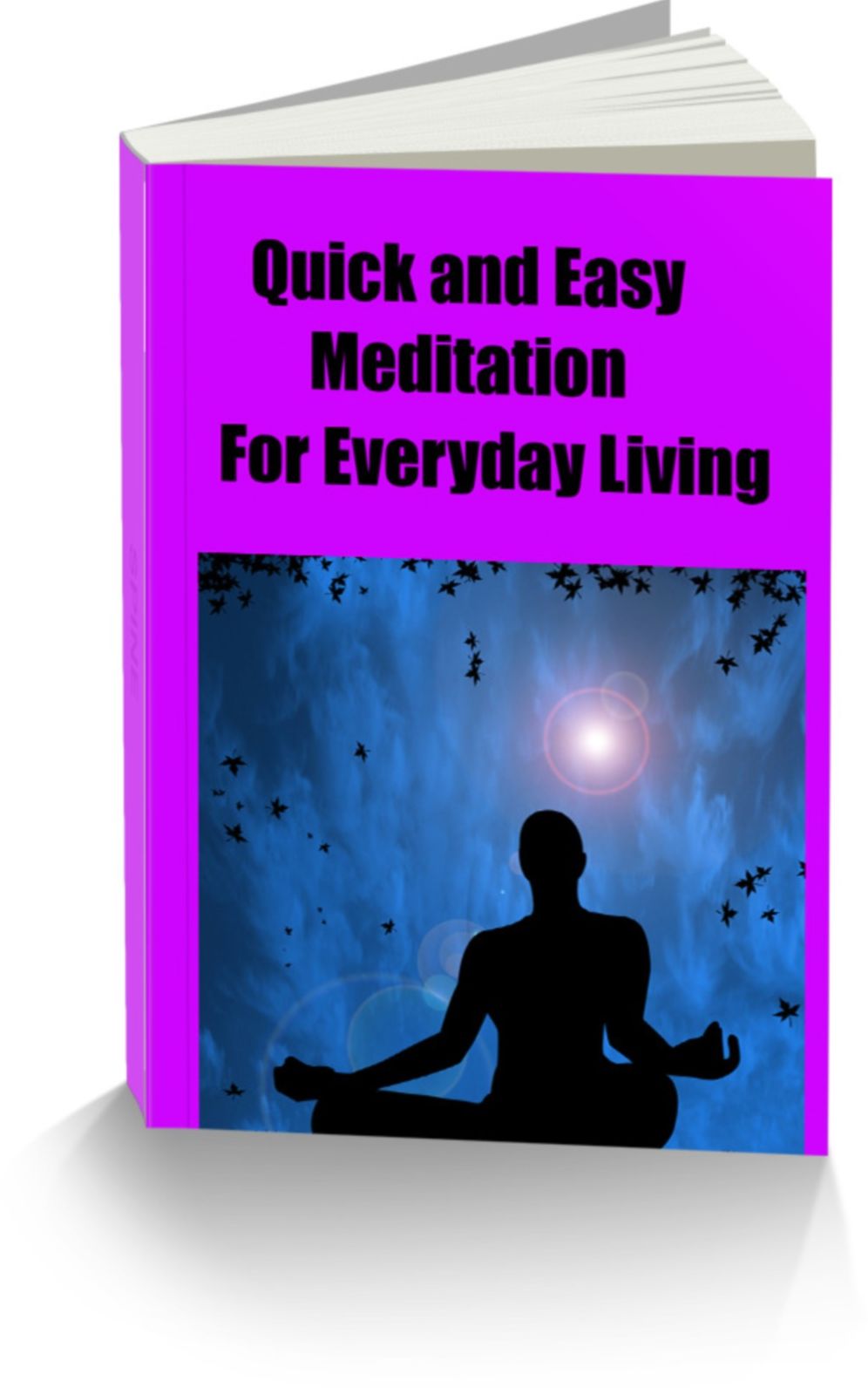 Quick And Easy Meditation for Everyday Living