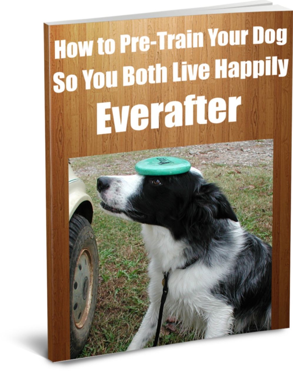 How to Pre-Train Your Dog So You Both Live Happy Everafter