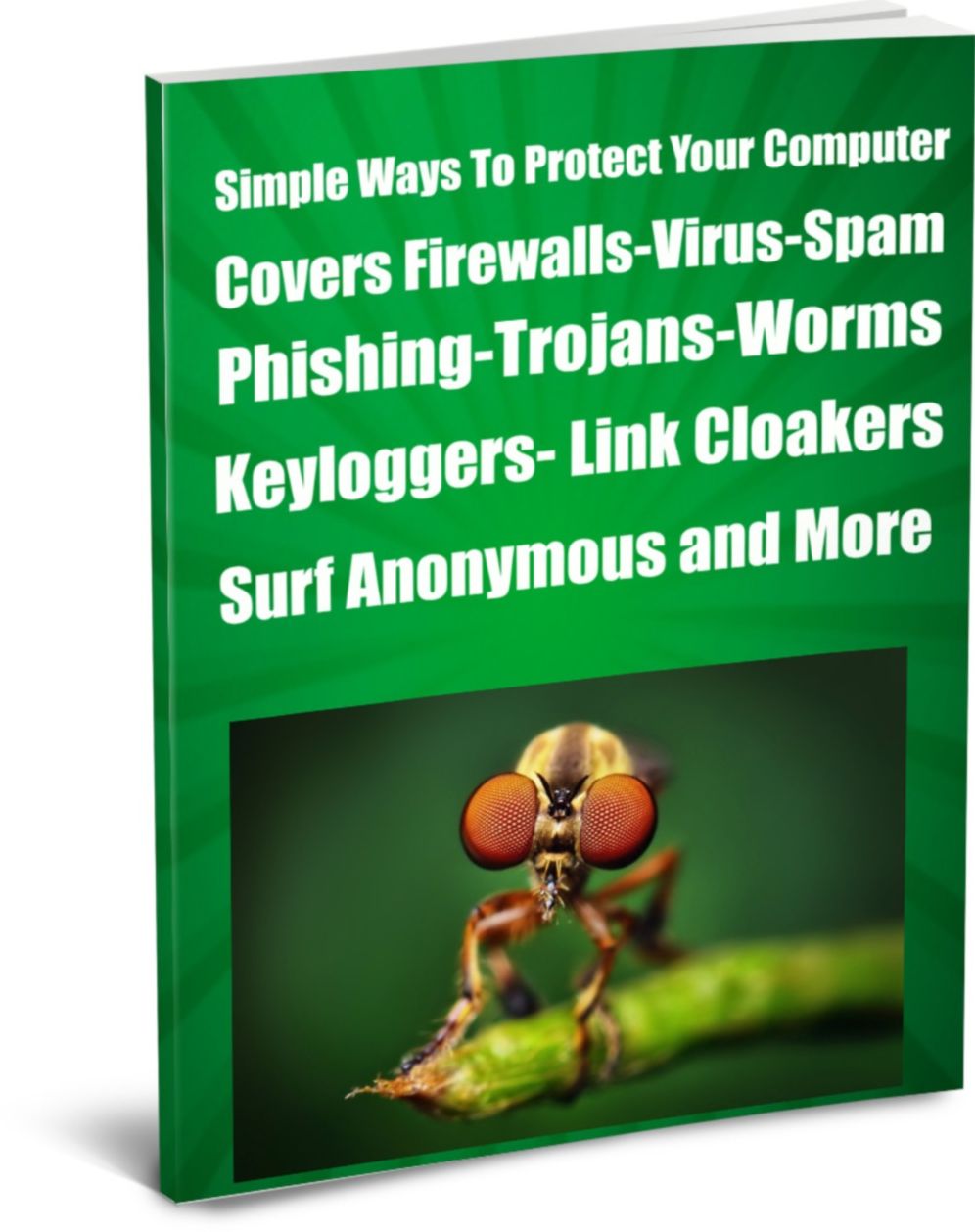 Simple Ways To Protect Your Computer Covers Firewalls-Virus-Spam-Phishing-Trojans-Worms- -Keyloggers- Link Cloakers-Surf Anonymous and More
