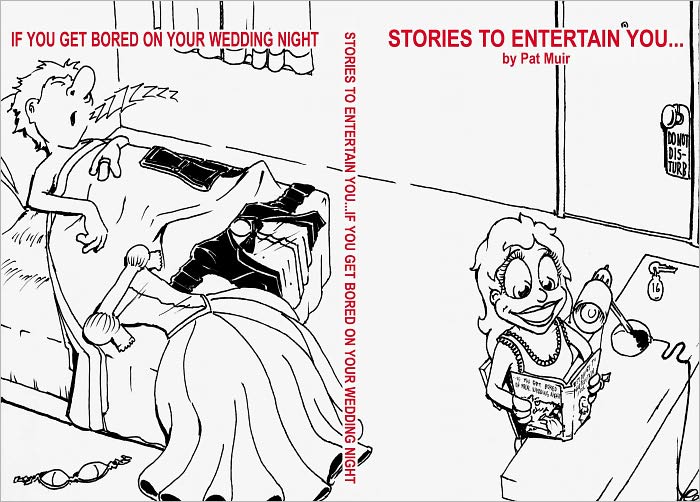 Stories to Entertain You...If You Get Bored on Your Wedding Night