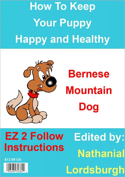 How To Keep Your Bernese Mountain Dog Happy and Healthy
