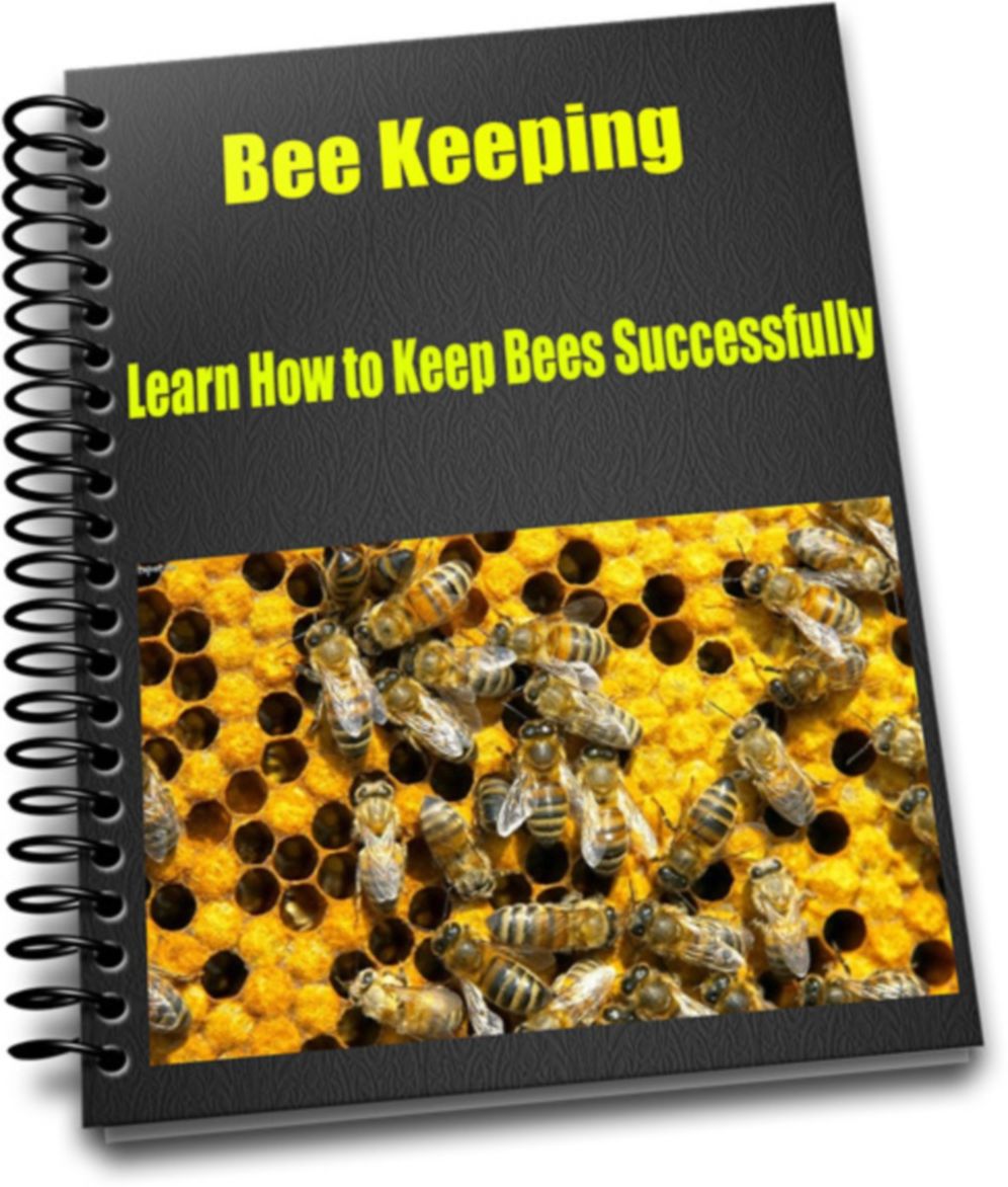 Bee Keeping Learn How to Keep Bees Successfully