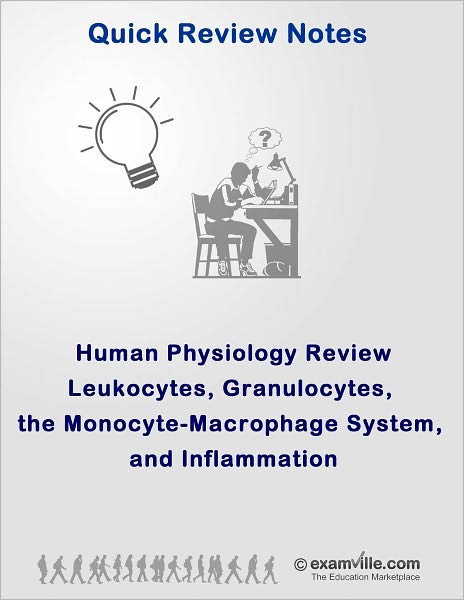 Human Physiology Review: White Blood Cells and Inflammation