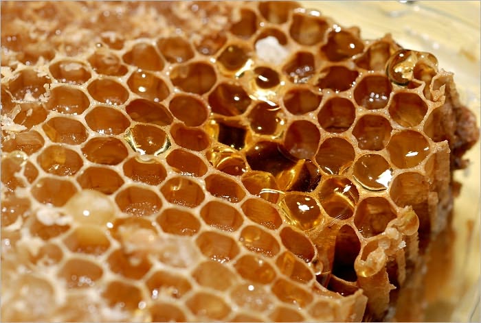 Starting Your Own Beekeeping Business Everything From A To Bee