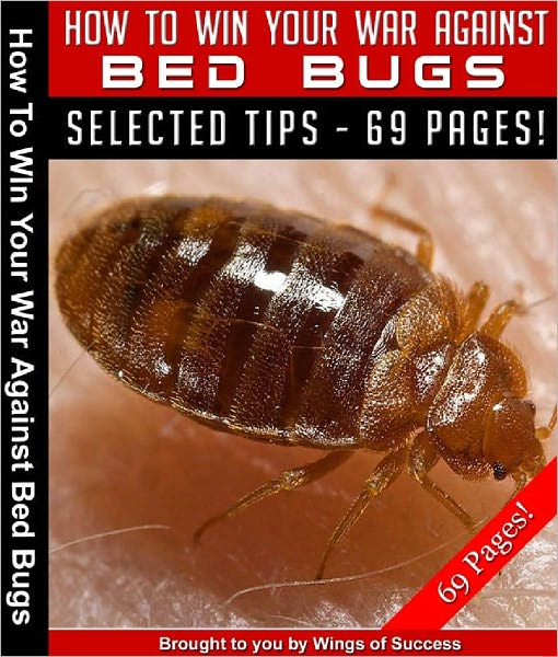 How To Win Your War Against Bed Bugs