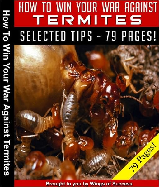 How To Win Your War Against Termites