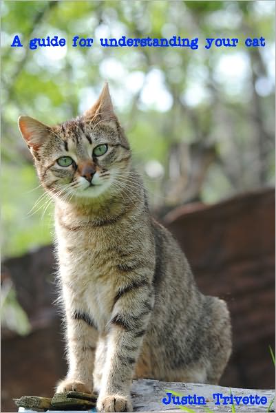 How to speak to your cat: A guide for understanding your cat