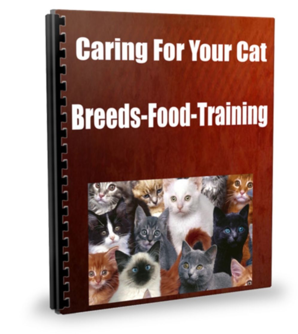 Caring For Your Cat-Breeds-Food-Training