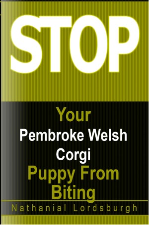 Keep Your Pembroke Welsh Corgi From Biting