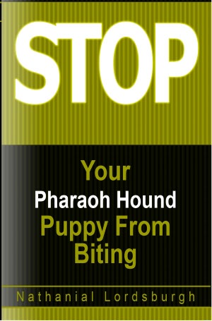 Keep Your Pharaoh Hound From Biting