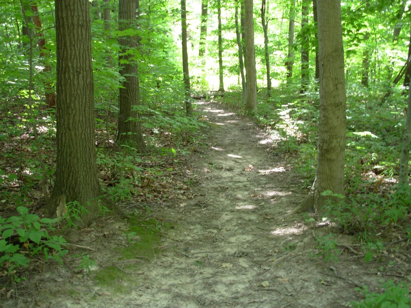 On the Trail - An Outdoor Book for Girls