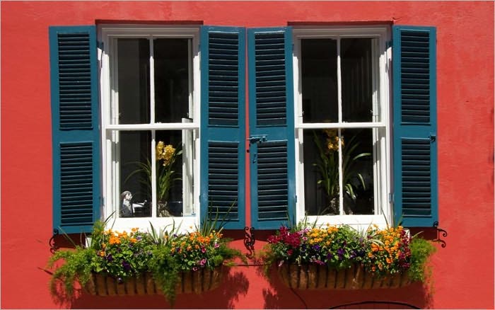 Painted Windows [Illustrated]