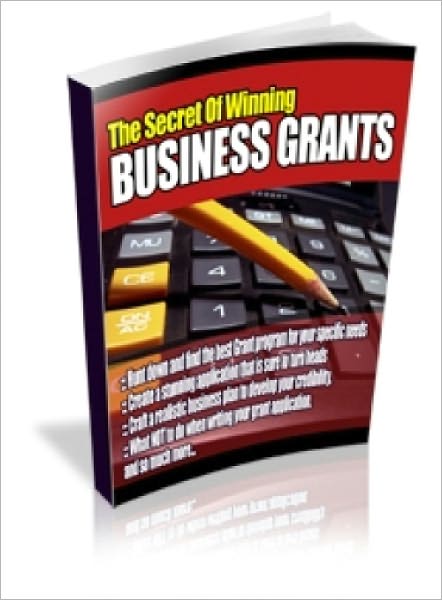 The Secrets Of Winning Business Grants