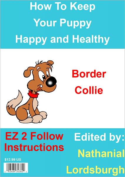 How To Keep Your Border Collie Happy and Healthy