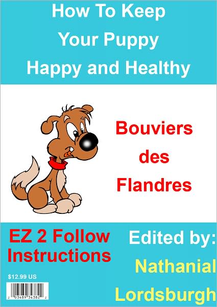 How To Keep Your Bouviers des Flandres Happy and Healthy