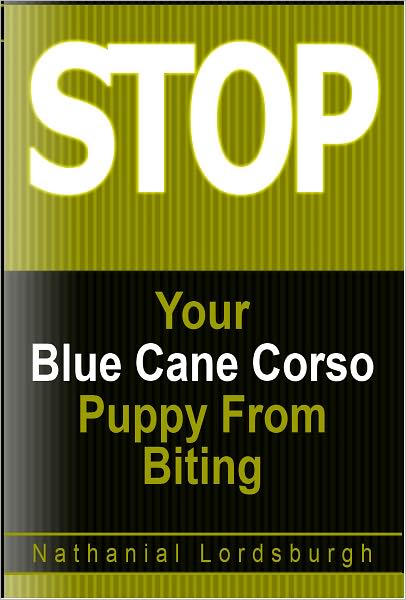 Keep Your Blue Cane Corso From Biting