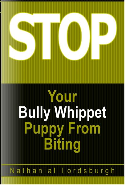 Keep Your Bully Whippet From Biting