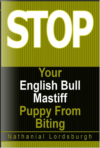 Keep Your English Bull Mastiff From Biting