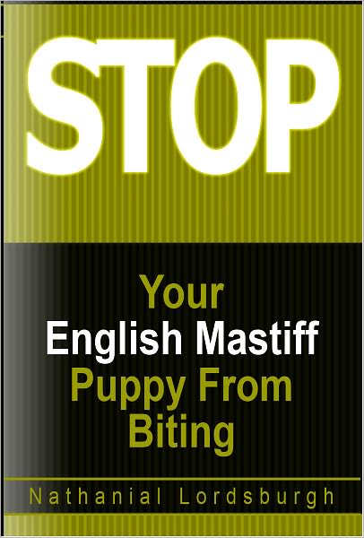 Keep Your English Mastiff From Biting