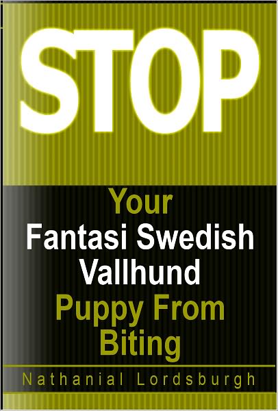 Keep Your Fantasi Swedish Vallhund From Biting