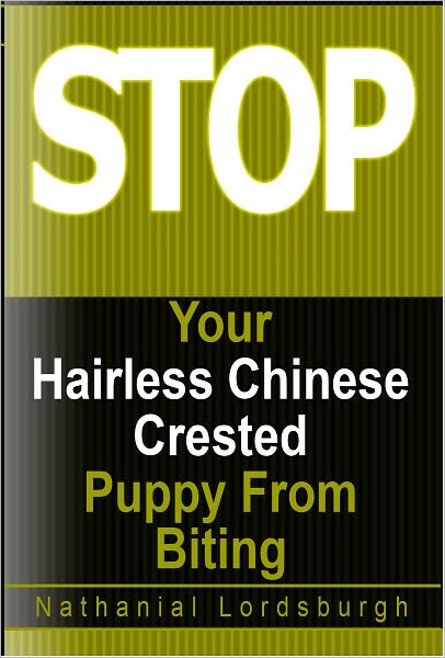 Keep Your Hairless Chinese Crested From Biting