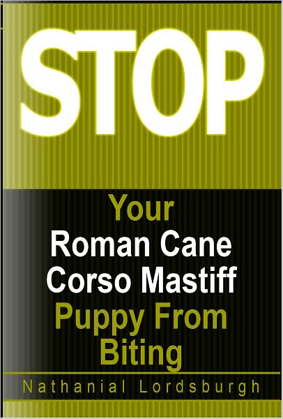 Keep Your Roman Cane Corso Mastiff From Biting