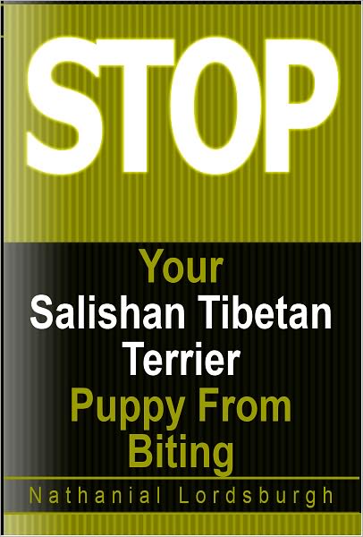 Keep Your Salishan Tibetan Terrier From Biting