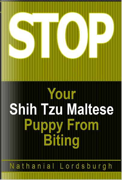 Keep Your Shih Tzu Maltese From Biting