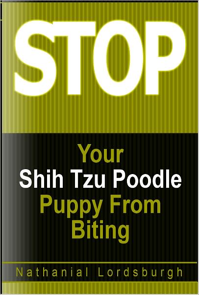 Keep Your Shih Tzu Poodle From Biting
