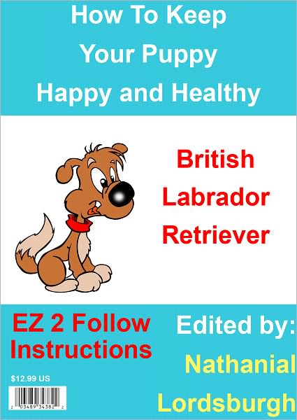 How To Keep Your British Labrador Retriever Happy and Healthy