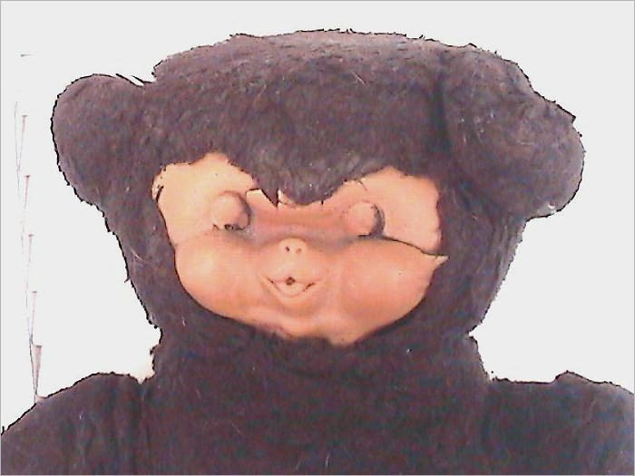 BAYO: An Autobearography