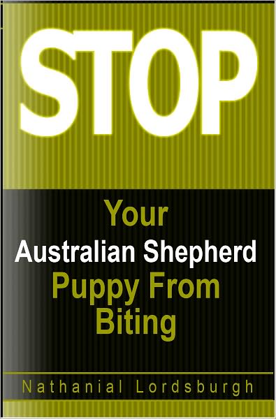 Keep Your Australian Shepherd From Biting