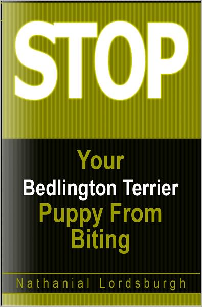 Keep Your Bedlington Terrier From Biting