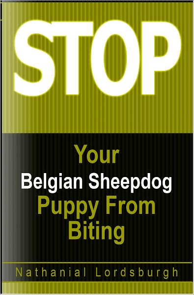 Keep Your Belgian Sheepdog From Biting