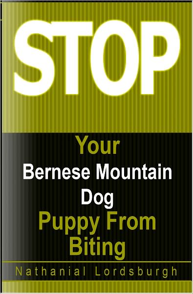 Keep Your Bernese Mountain Dog From Biting