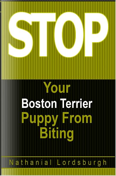 Keep Your Boston Terrier From Biting
