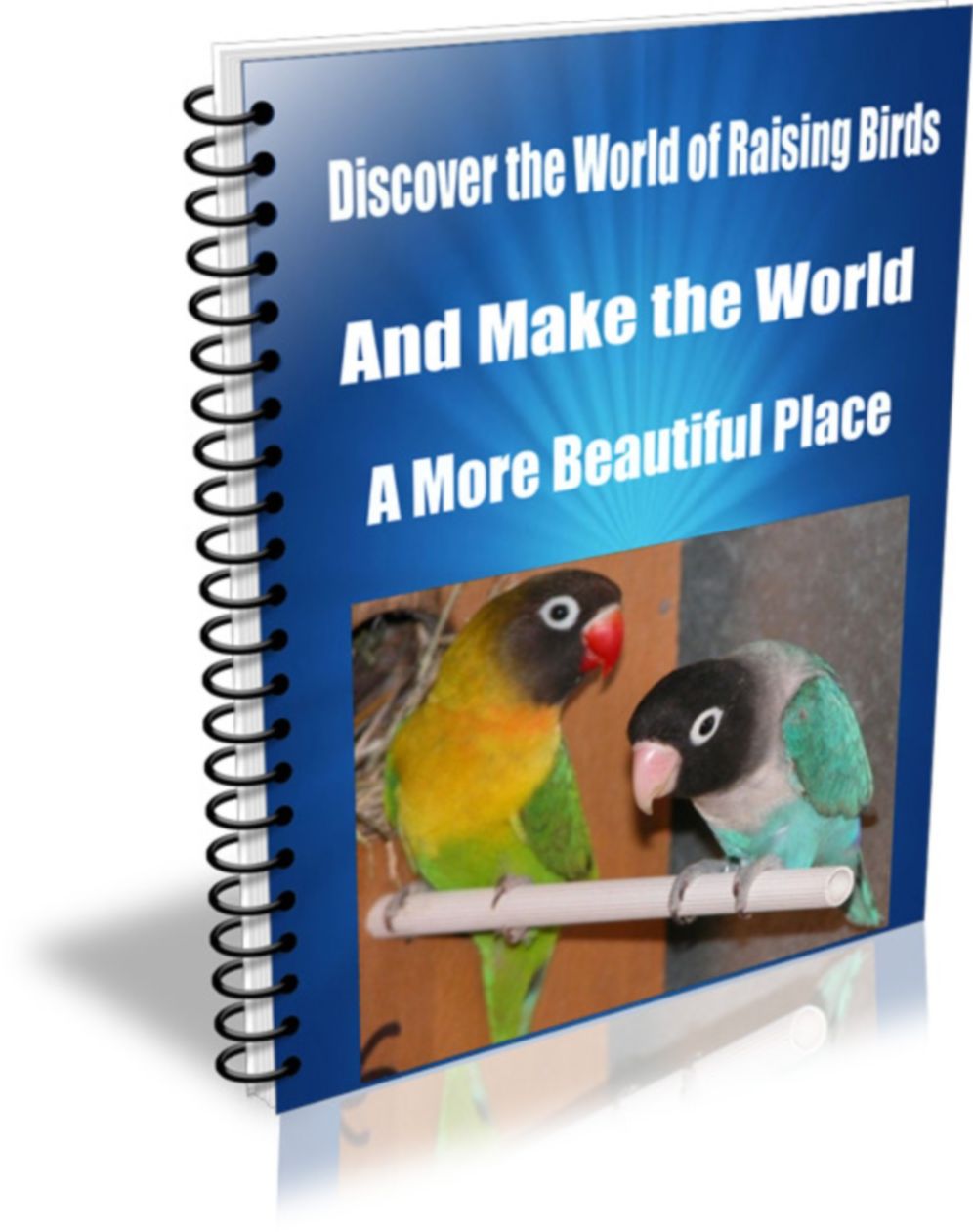 Discover The World of Raising Birds-And Make The World A More Beautiful Place
