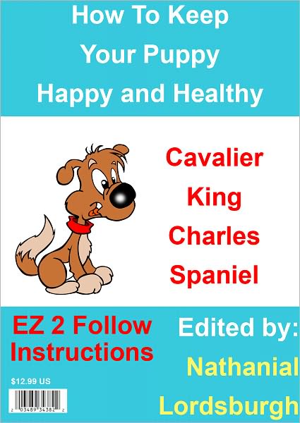 How To Keep Your Cavalier King Charles Spaniel Happy and Healthy