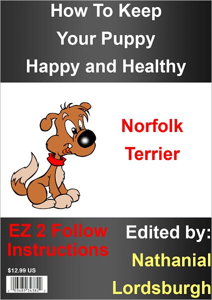 How To Keep Your Norfolk Terrier Happy and Healthy