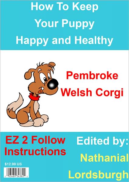 How To Keep Your Pembroke Welsh Corgi Happy and Healthy