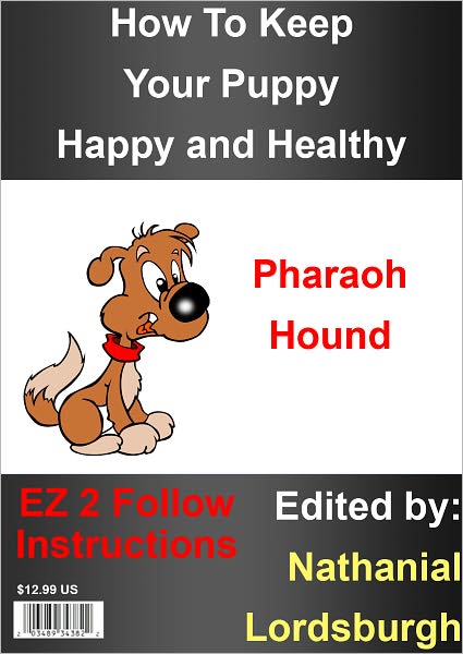 How To Keep Your Pharaoh Hound Happy and Healthy