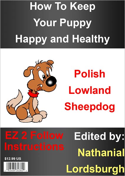 How To Keep Your Polish Lowland Sheepdog Happy and Healthy