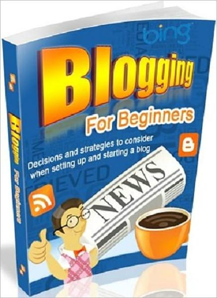 Highly Effective - Blogging for Beginner - Decisions and Strategies to Consider When Setting Up and Starting a Blog