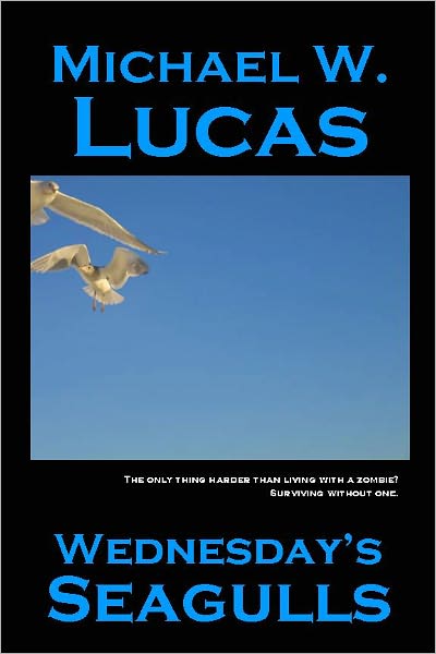 Wednesday's Seagulls