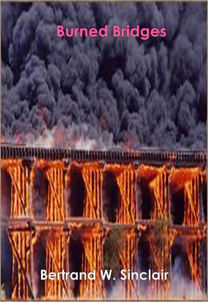 Burned Bridges w/ Direct link technology (A Romantic Adventure)